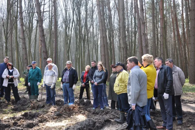 На Рівненщині на честь Збройних Сил України висадили молодий ліс (Фото) — фото 1