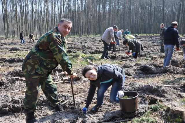 На Рівненщині на честь Збройних Сил України висадили молодий ліс (Фото) — фото 3